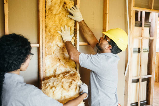 Best Home Insulation Services  in Darby, PA