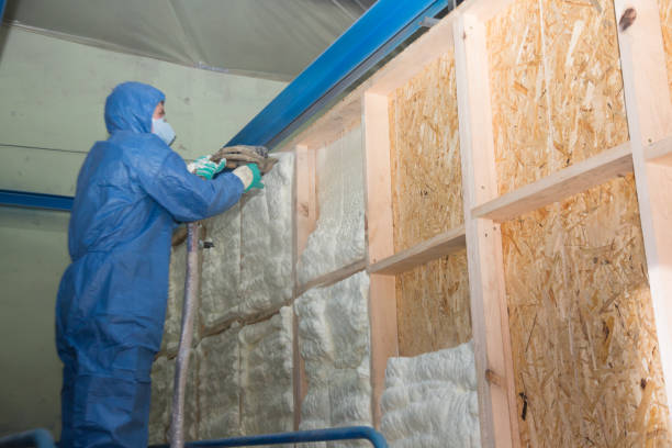 Best Insulation Removal  in Darby, PA